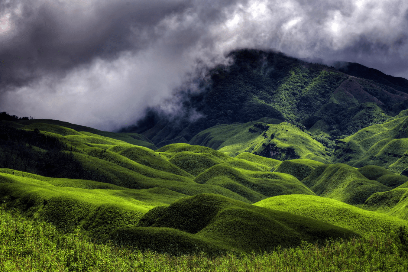 North east destination