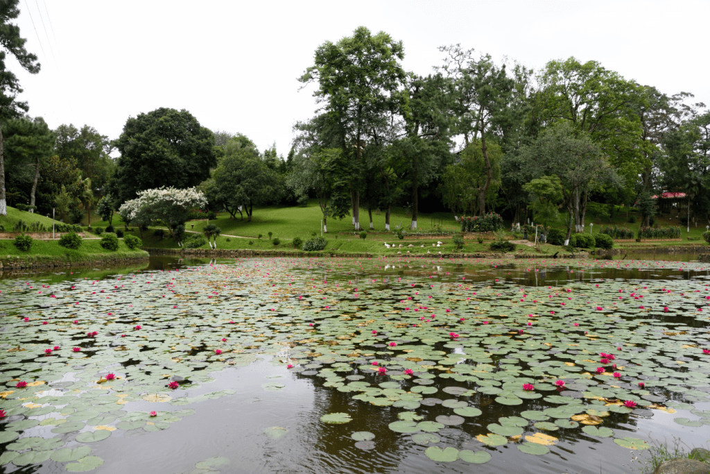 Romantic Places in Shillong
