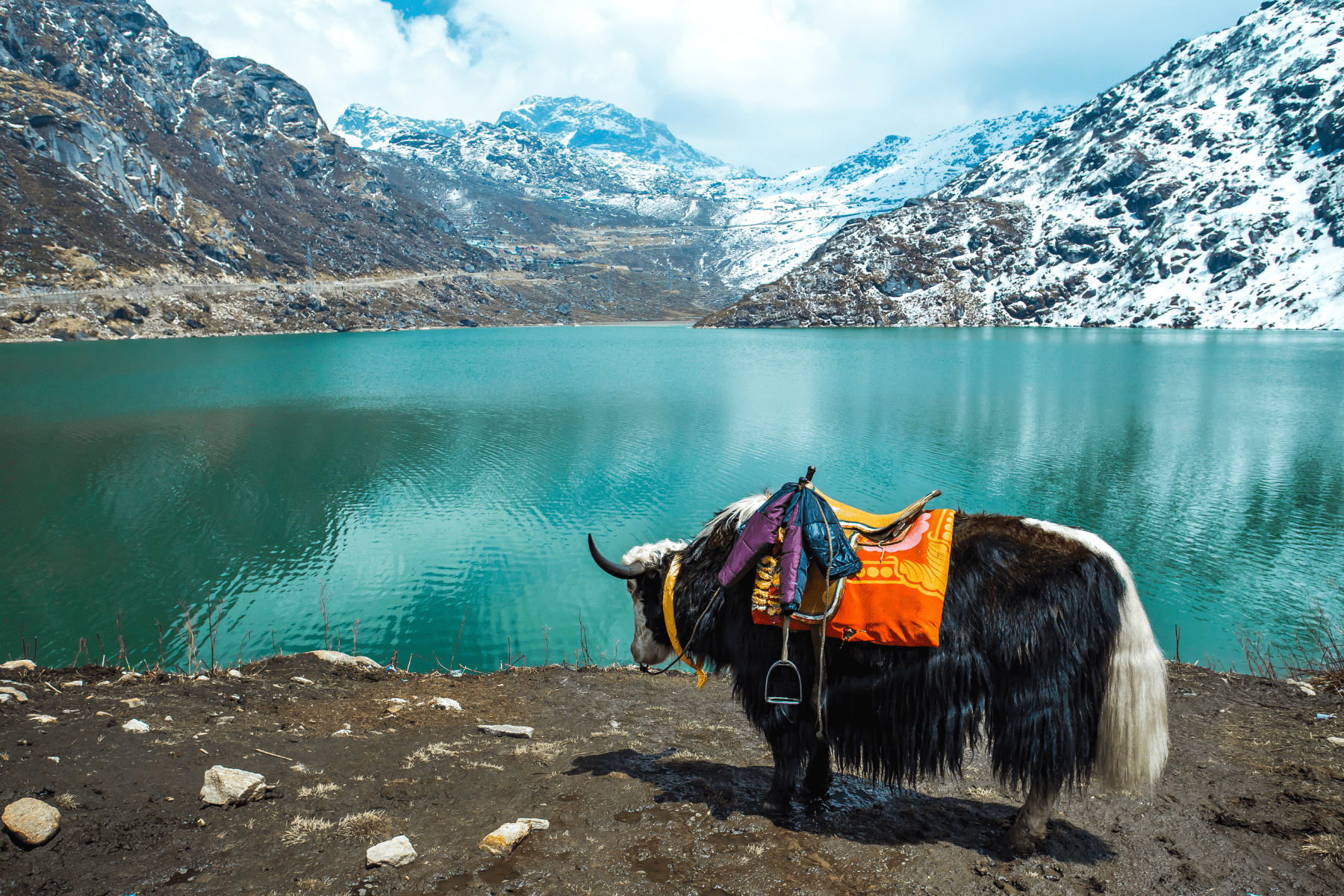Activities to Do in Sikkim