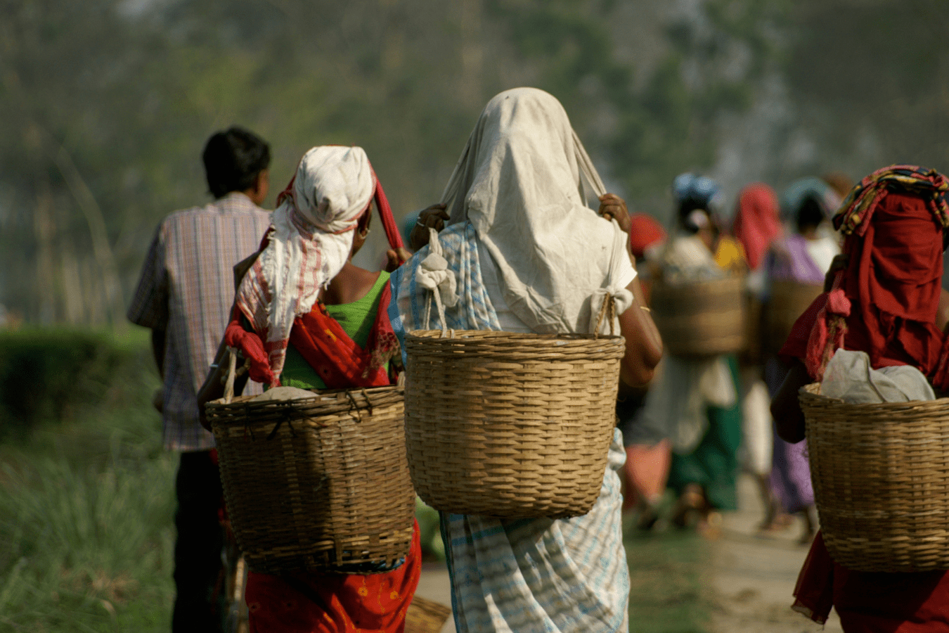 Best Places to Visit in Assam with Family