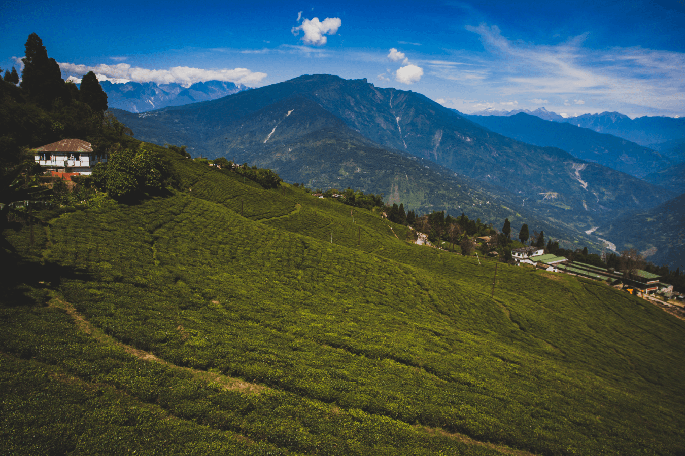 Assam Best Places to Visit in Winter