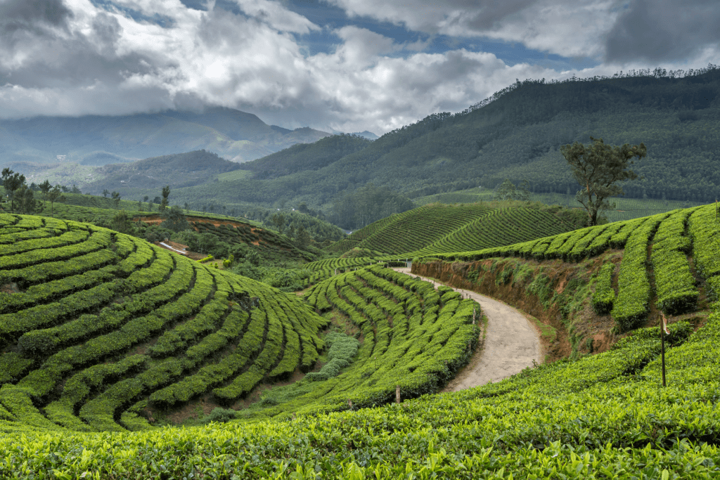 7 Best Places to Visit in October in India with family